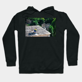 Chimney in Mostar Hoodie